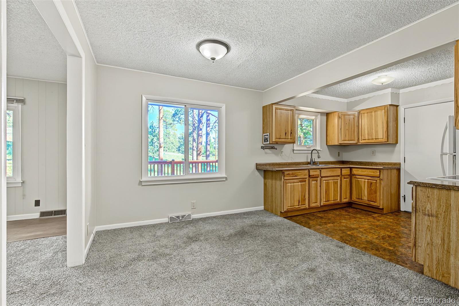 MLS Image #5 for 29592  dorothy road,evergreen, Colorado