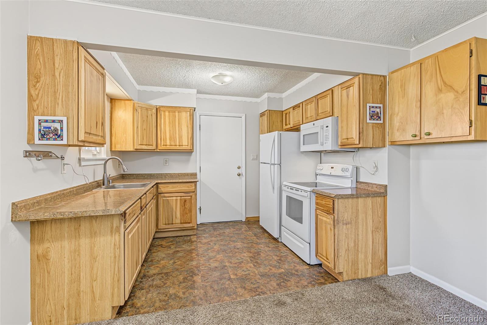 MLS Image #6 for 29592  dorothy road,evergreen, Colorado