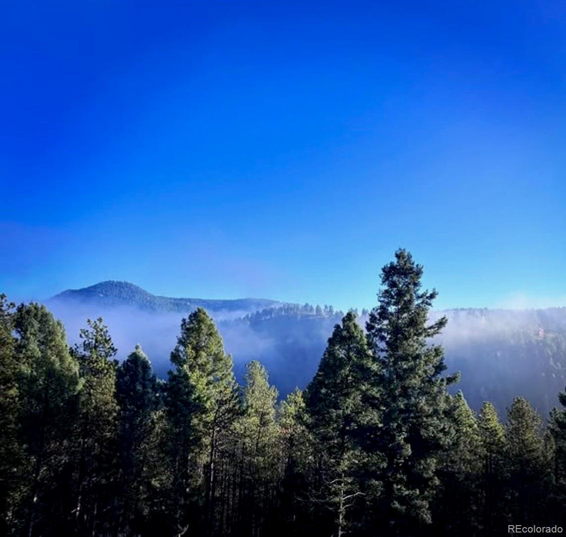 MLS Image #37 for 12025  red cloud way,conifer, Colorado