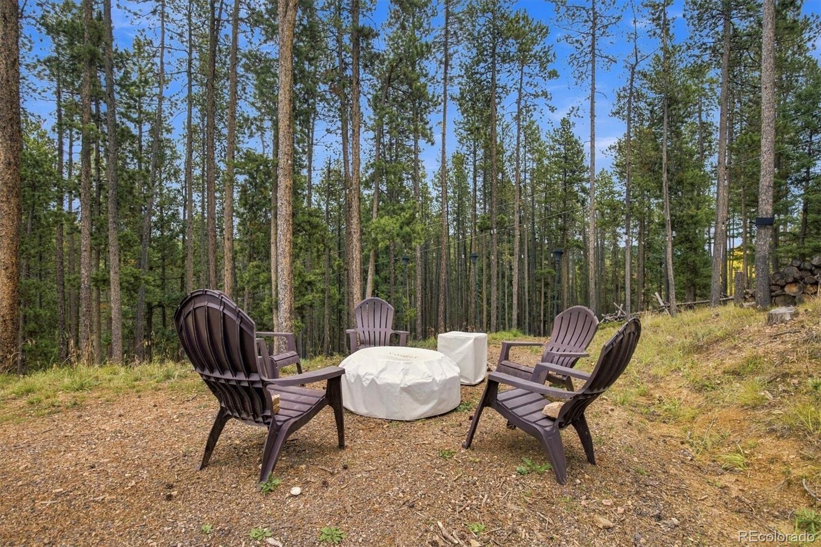 MLS Image #38 for 12025  red cloud way,conifer, Colorado