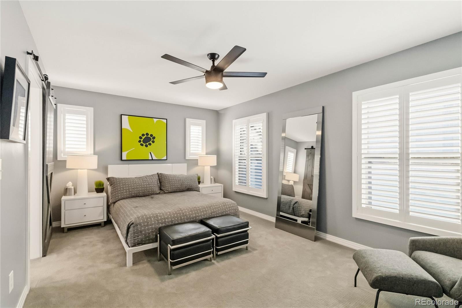 MLS Image #19 for 916  ivanhoe street,denver, Colorado