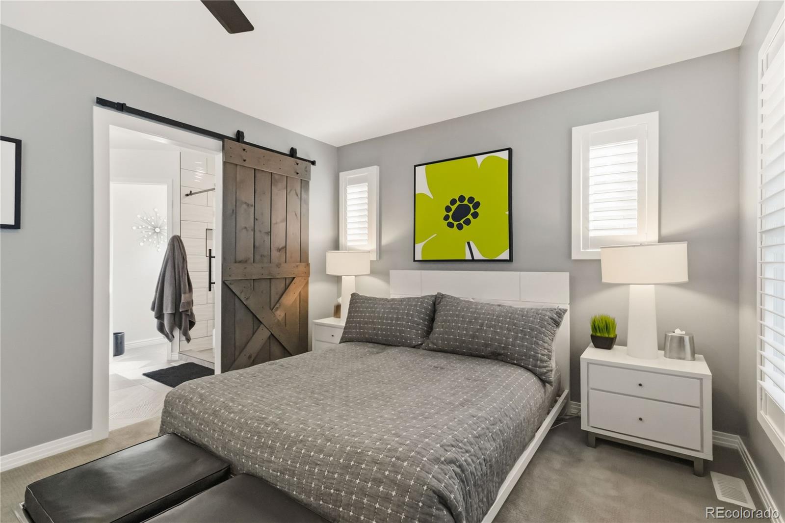 MLS Image #20 for 916  ivanhoe street,denver, Colorado