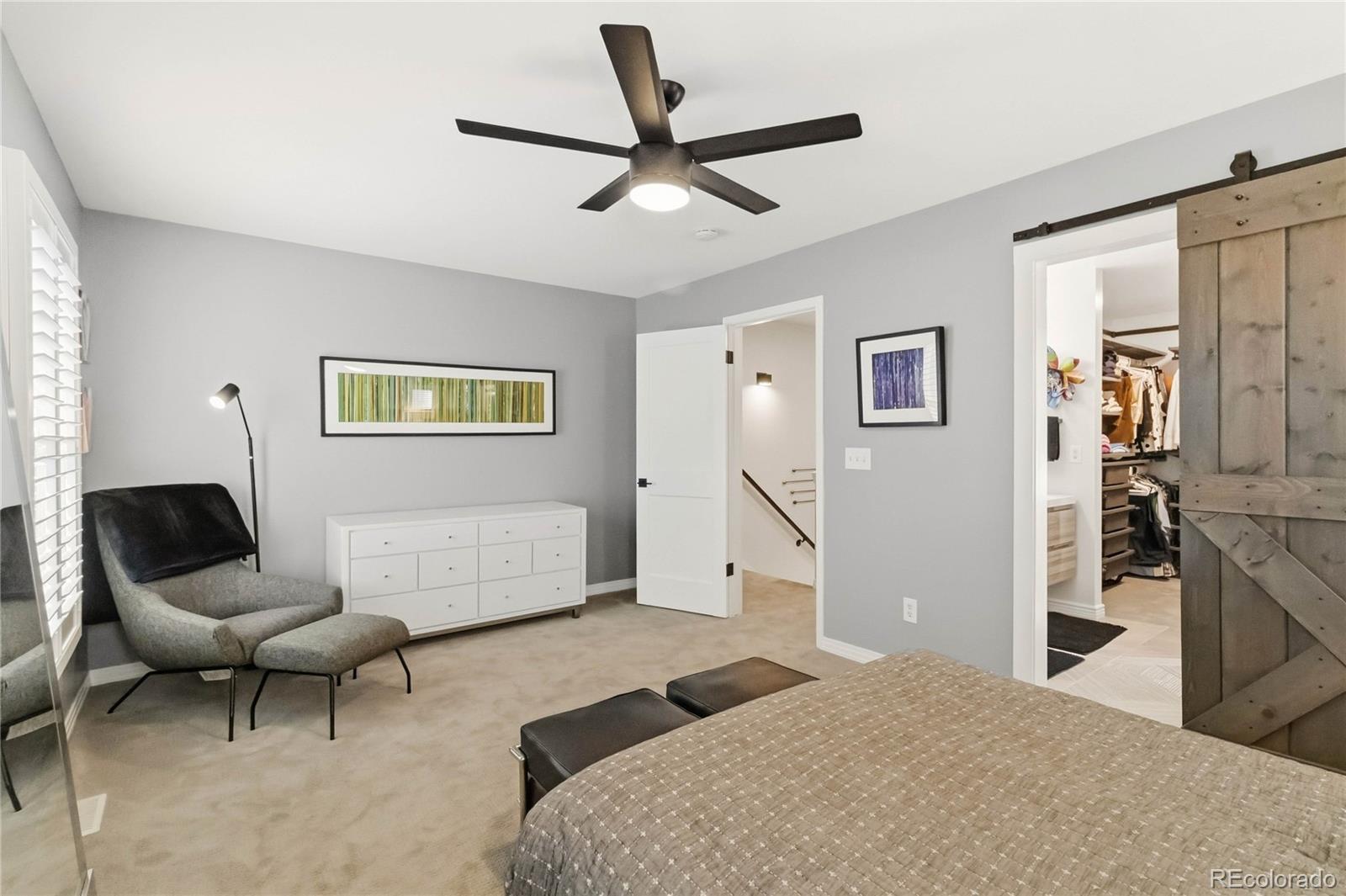 MLS Image #21 for 916  ivanhoe street,denver, Colorado