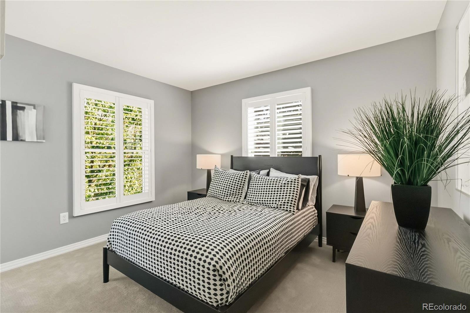 MLS Image #26 for 916  ivanhoe street,denver, Colorado