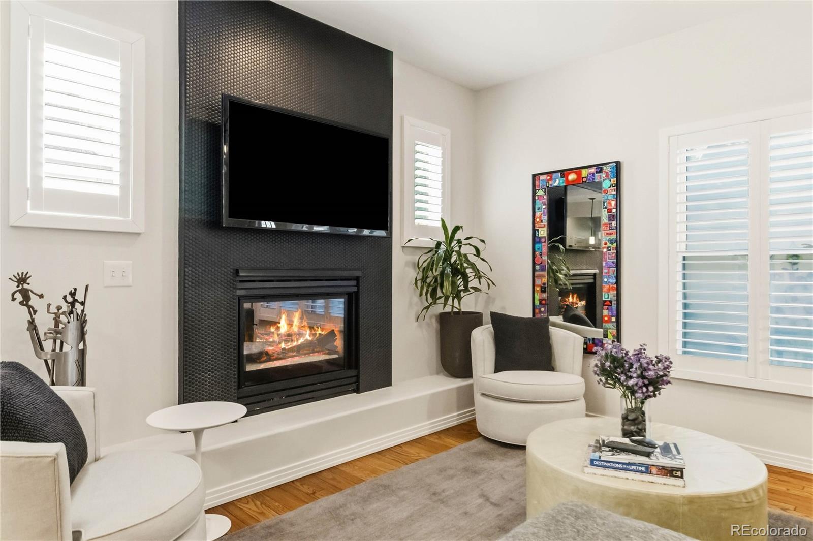 MLS Image #4 for 916  ivanhoe street,denver, Colorado