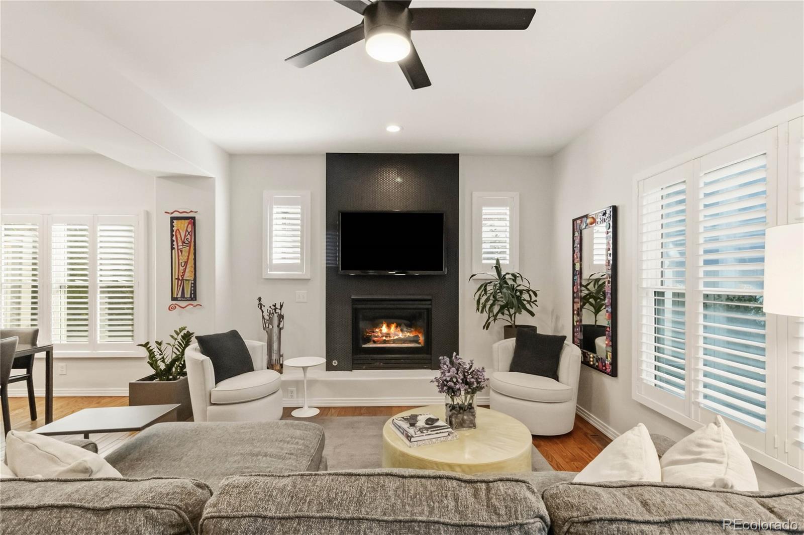 MLS Image #5 for 916  ivanhoe street,denver, Colorado