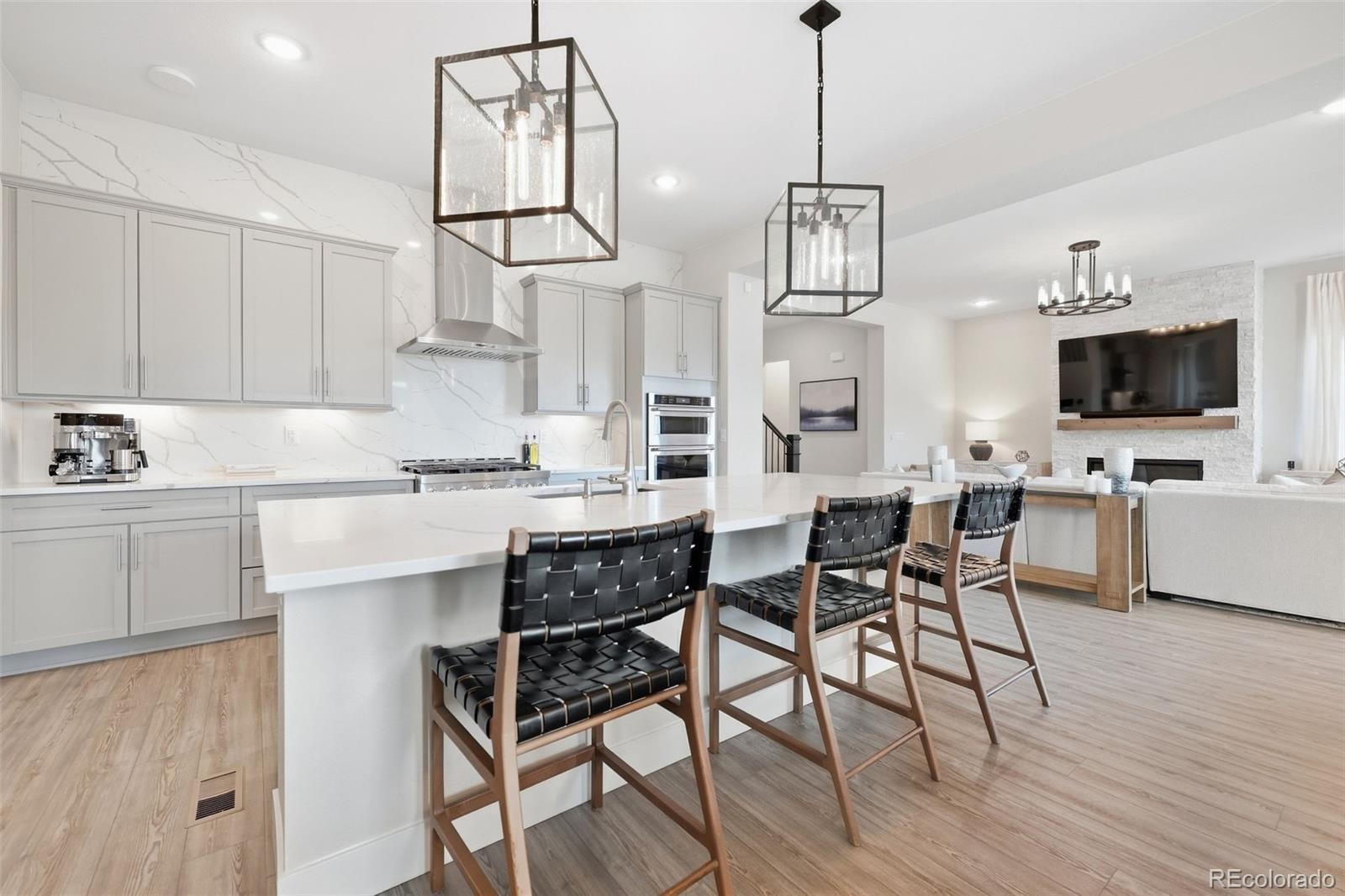 MLS Image #14 for 4870  saddle iron road,castle rock, Colorado