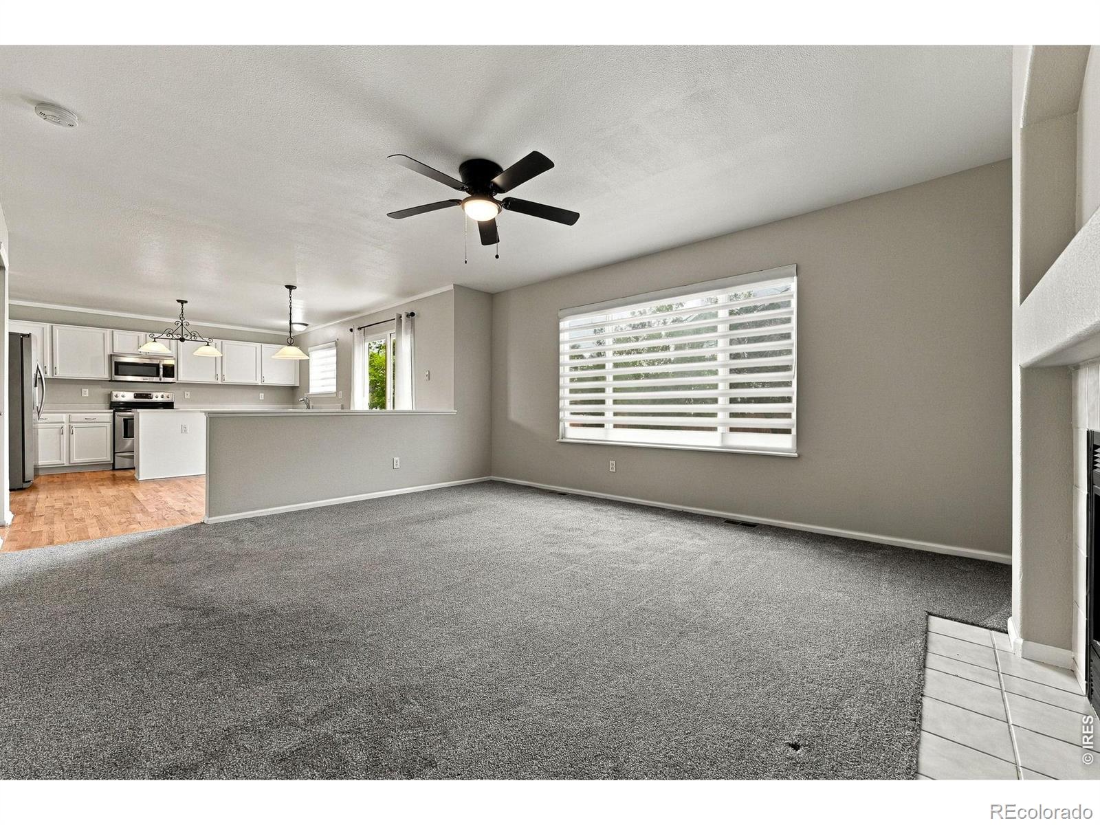 MLS Image #19 for 4382 e andover avenue,castle rock, Colorado