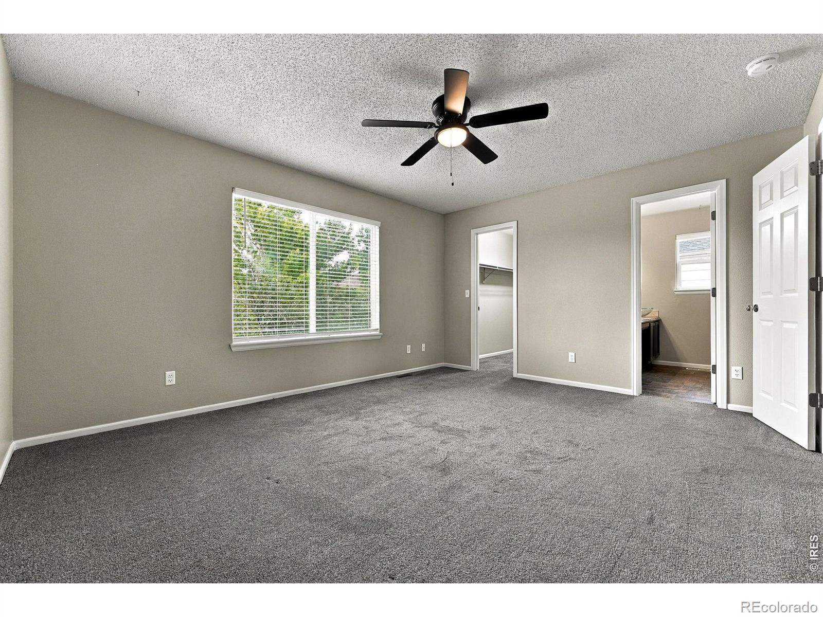 MLS Image #23 for 4382 e andover avenue,castle rock, Colorado