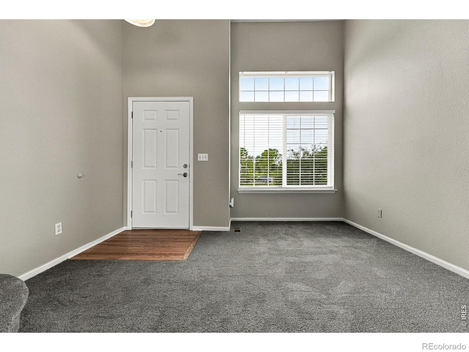 MLS Image #6 for 4382 e andover avenue,castle rock, Colorado