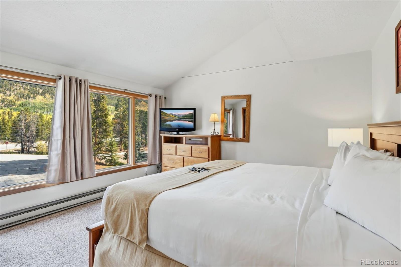 MLS Image #18 for 22320  us highway 6 ,keystone, Colorado