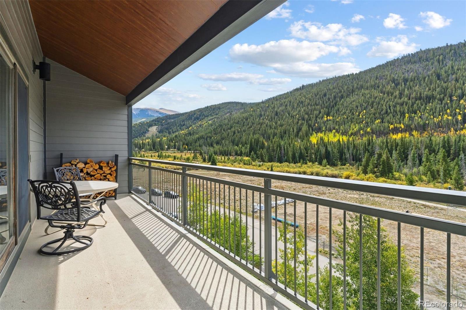 MLS Image #3 for 22320  us highway 6 ,keystone, Colorado
