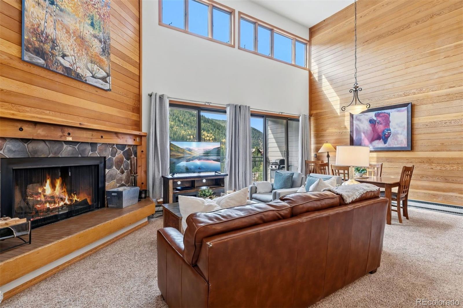 MLS Image #4 for 22320  us highway 6 ,keystone, Colorado