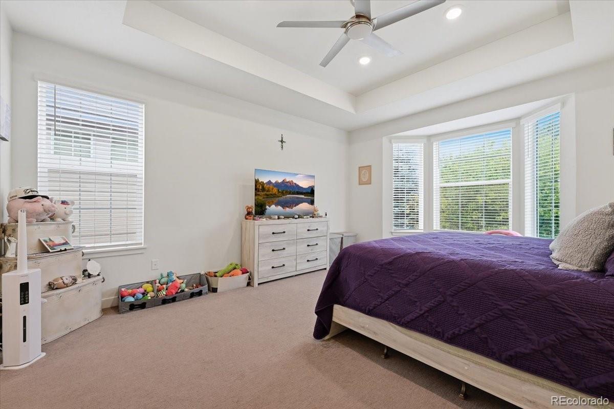 MLS Image #18 for 15714  xenia way,thornton, Colorado