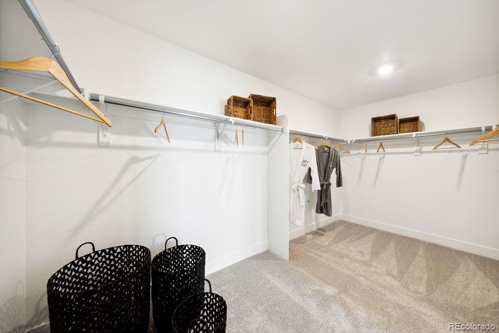 MLS Image #21 for 8776  whiteclover street,littleton, Colorado