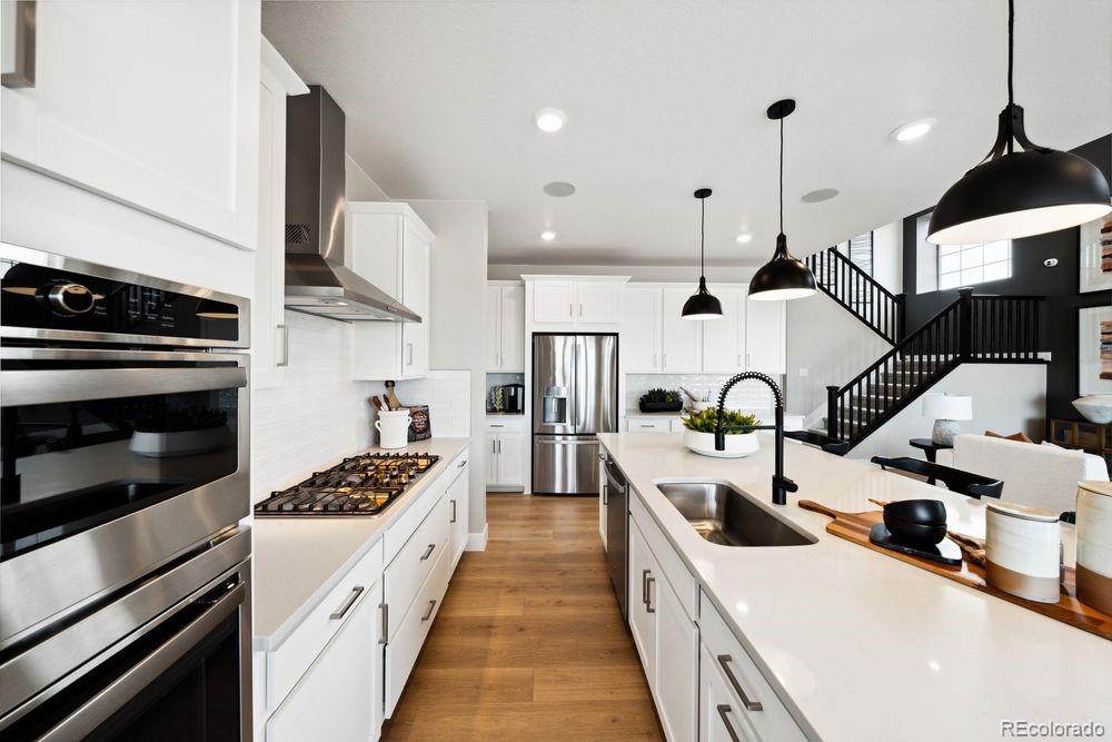MLS Image #6 for 8776  whiteclover street,littleton, Colorado
