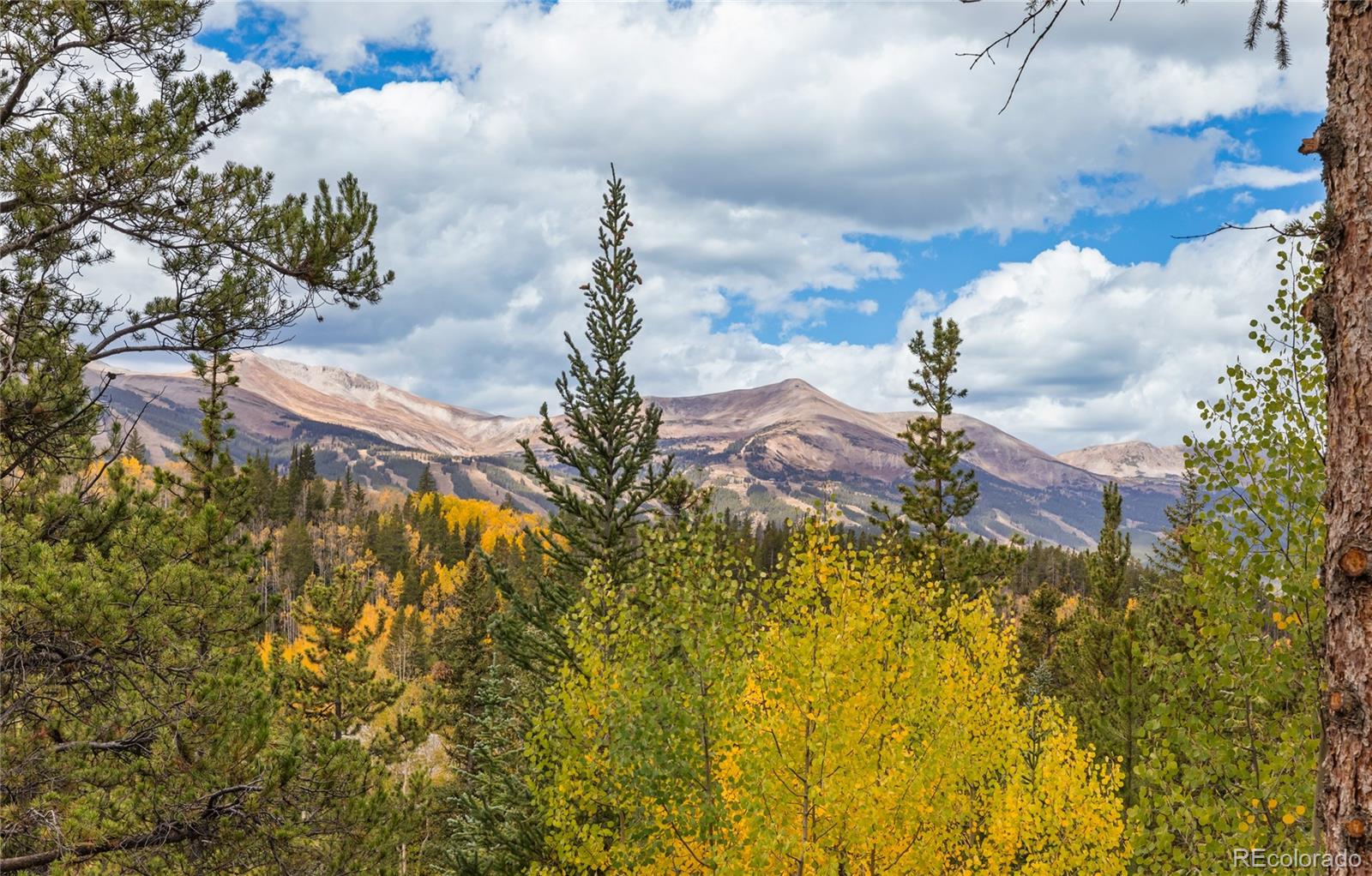MLS Image #24 for 28  illinois gulch road,breckenridge, Colorado