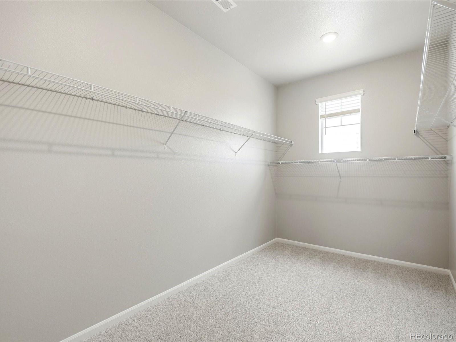 MLS Image #20 for 1609  rumley creek drive,windsor, Colorado