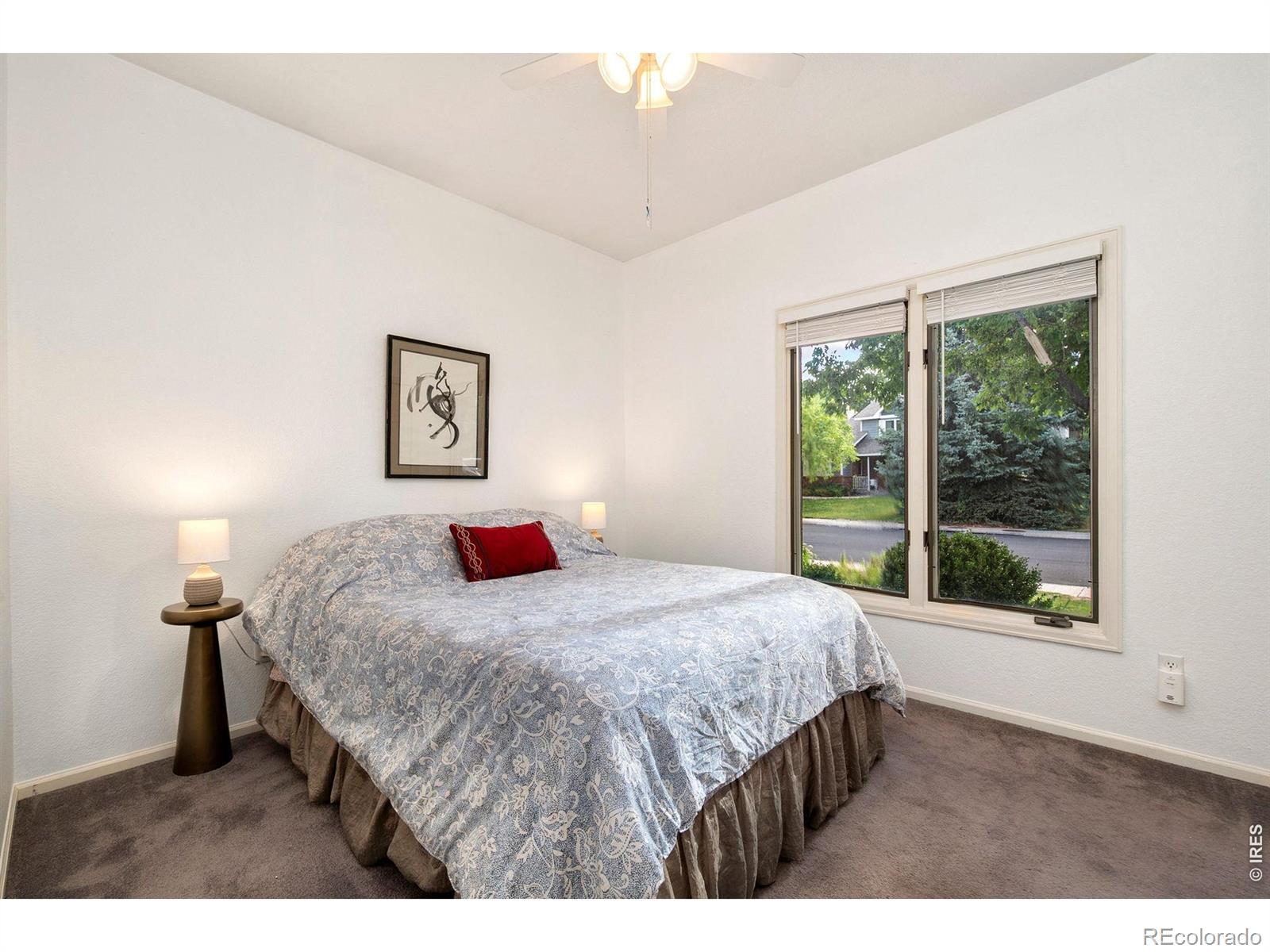 MLS Image #13 for 6354  buchanan street,fort collins, Colorado