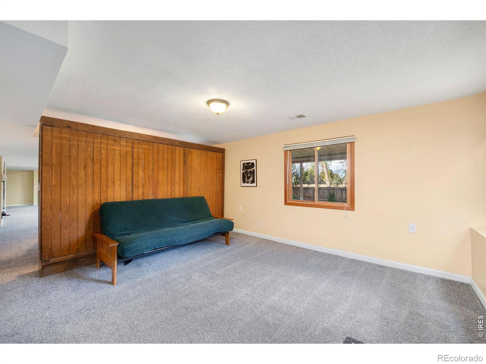 MLS Image #19 for 6354  buchanan street,fort collins, Colorado