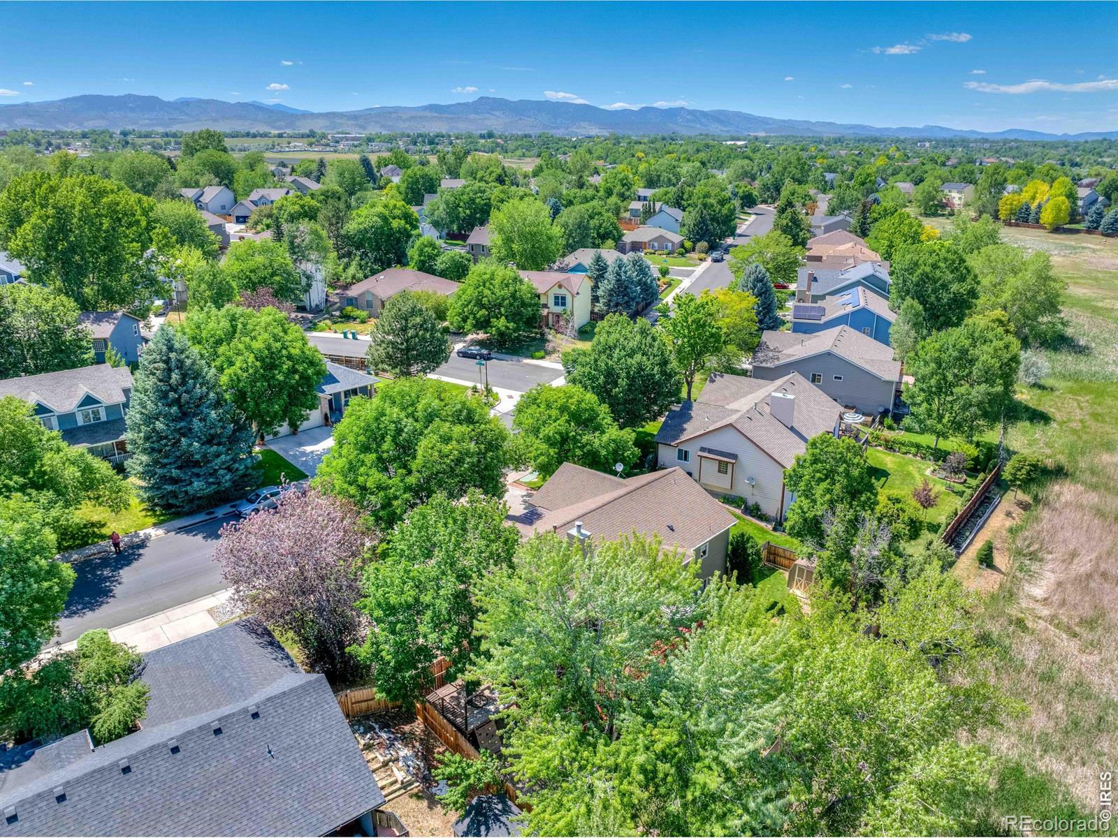 MLS Image #28 for 6354  buchanan street,fort collins, Colorado