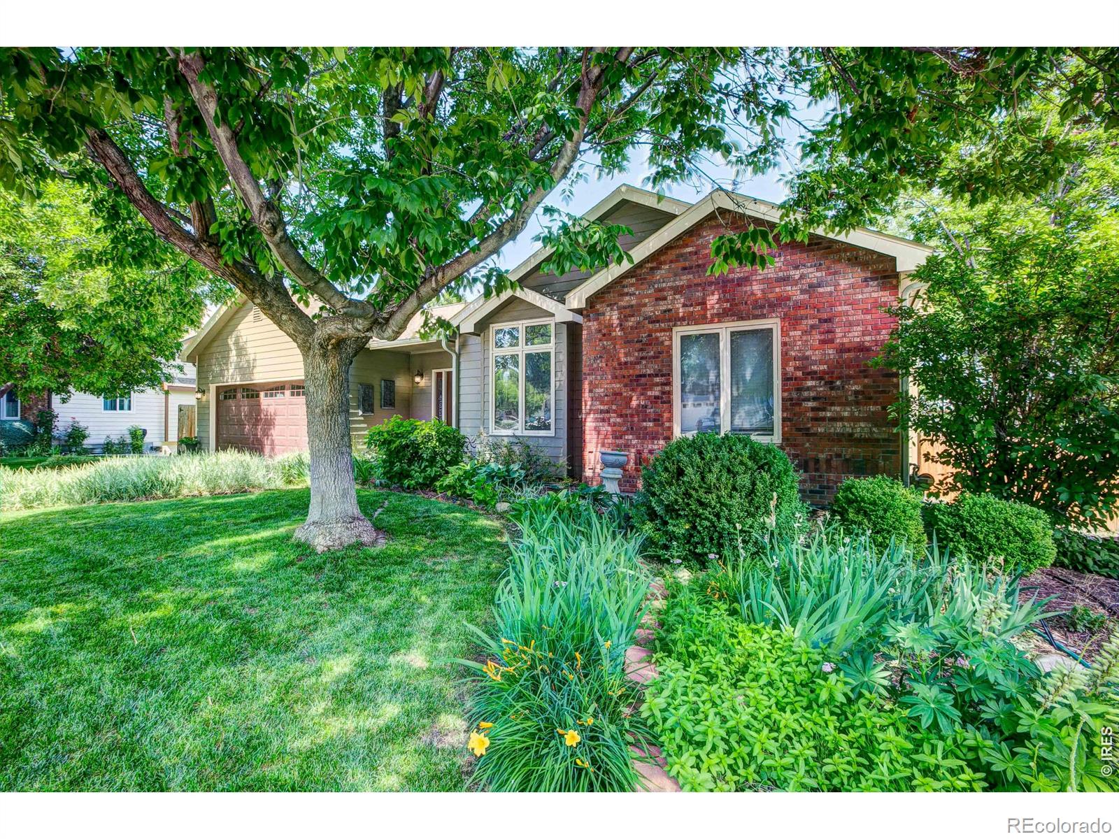 MLS Image #3 for 6354  buchanan street,fort collins, Colorado