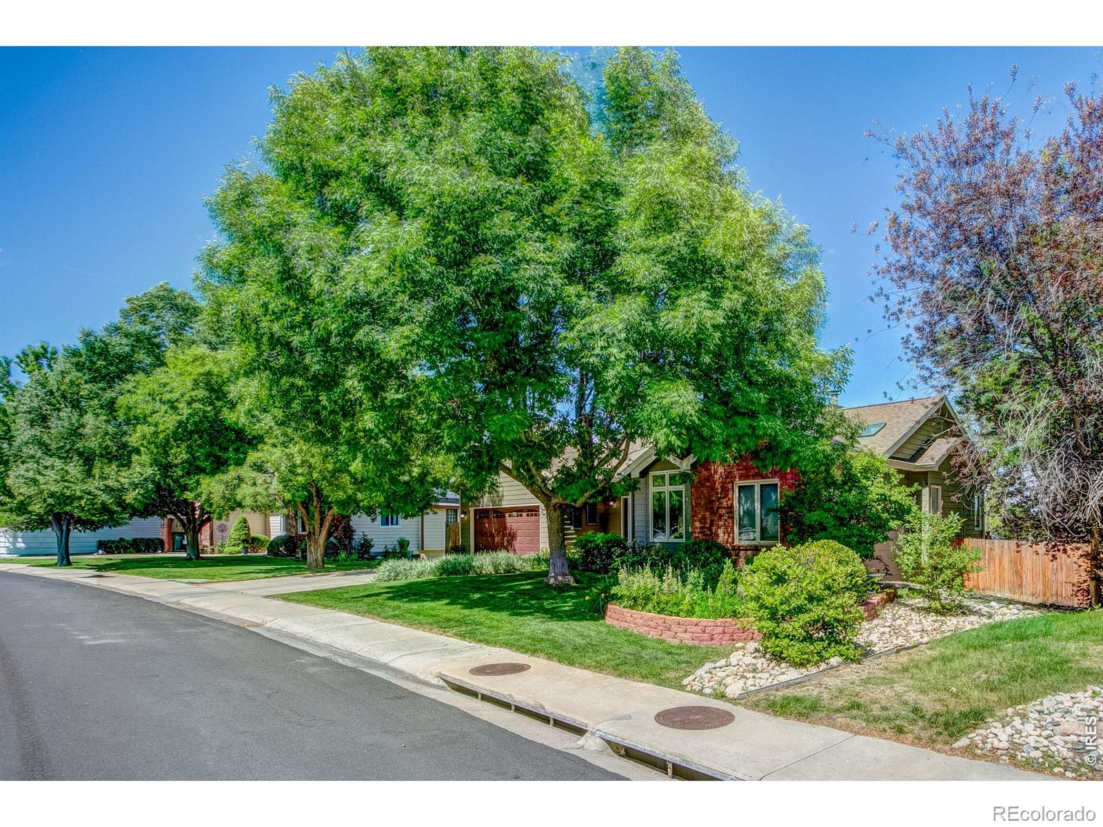 MLS Image #34 for 6354  buchanan street,fort collins, Colorado