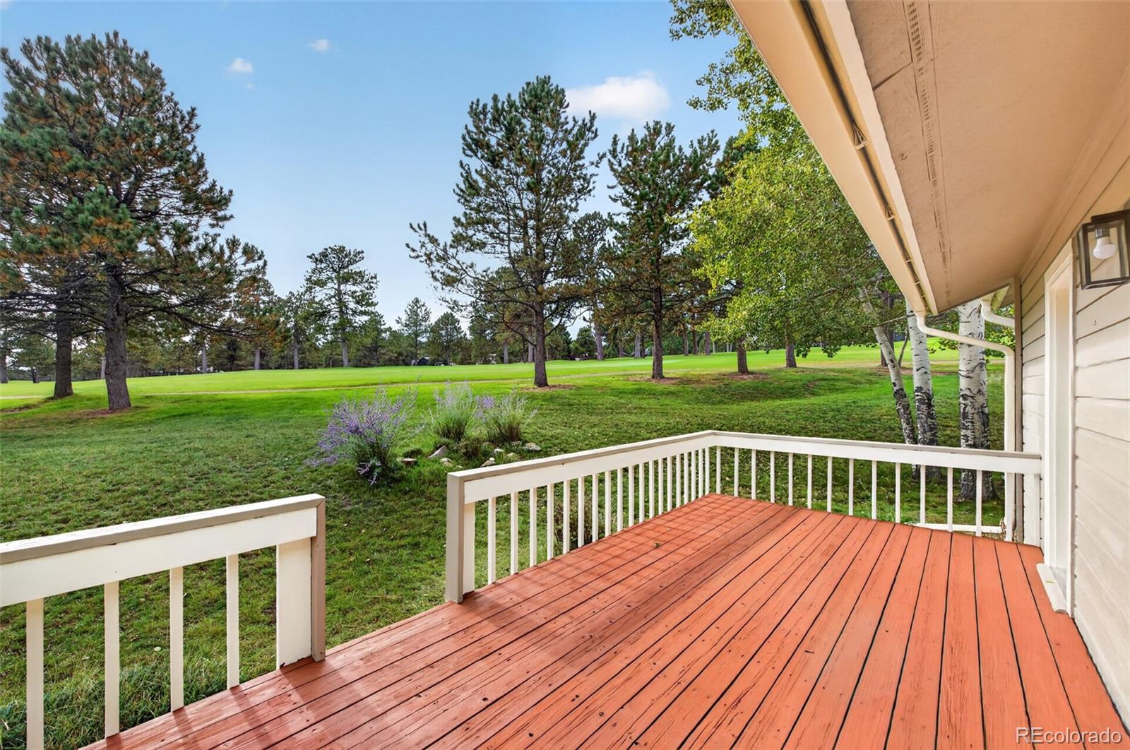 MLS Image #12 for 1913  interlocken drive,evergreen, Colorado