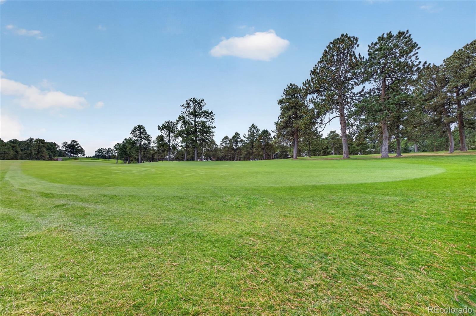 MLS Image #24 for 1913  interlocken drive,evergreen, Colorado