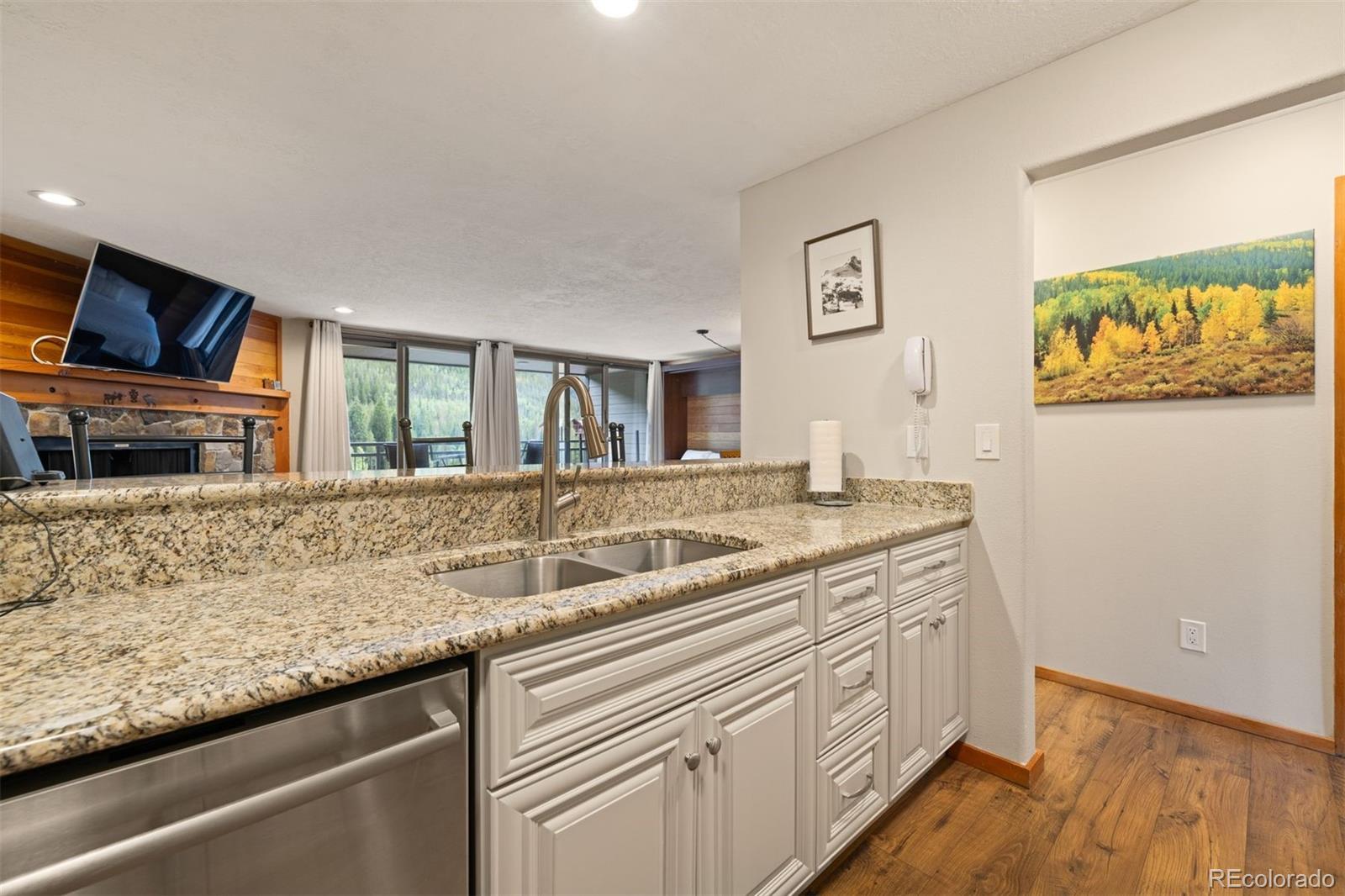 MLS Image #15 for 22320  us highway 6 ,keystone, Colorado