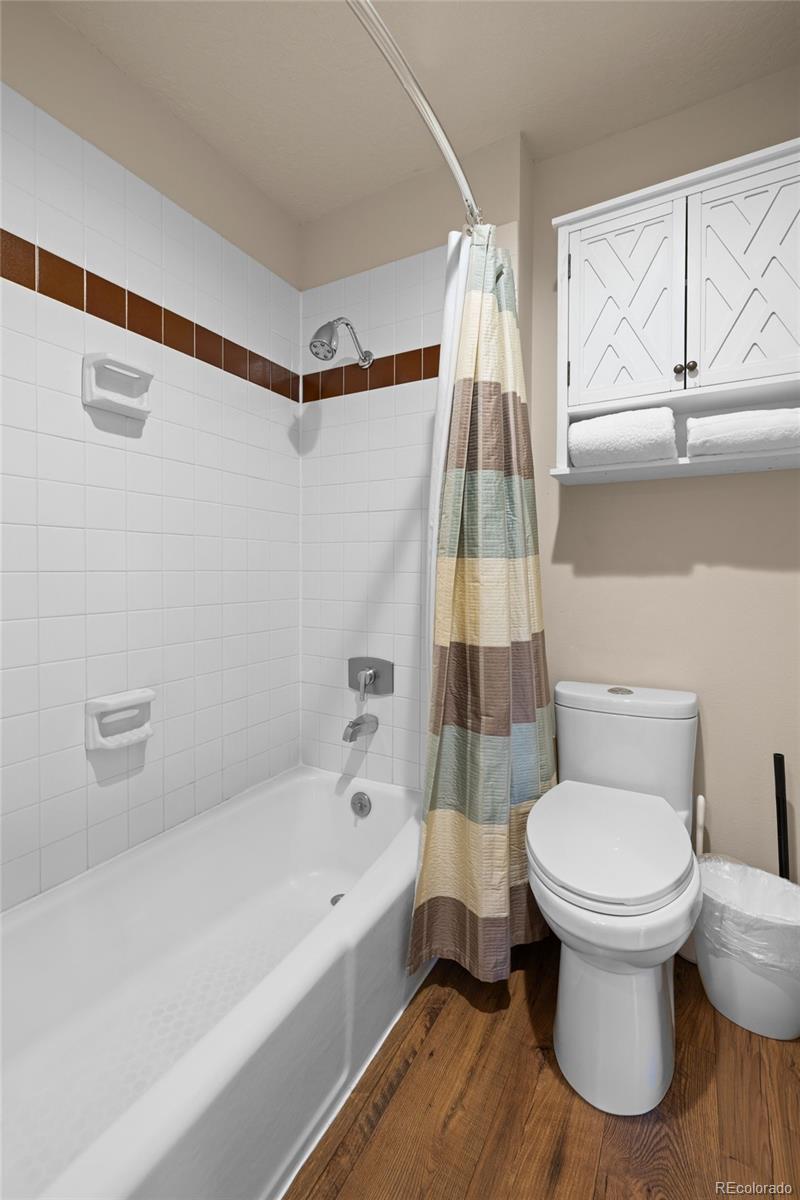 MLS Image #19 for 22320  us highway 6 ,keystone, Colorado