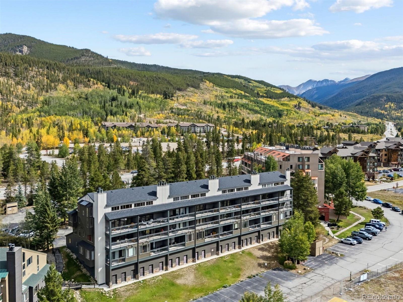 MLS Image #6 for 22320  us highway 6 ,keystone, Colorado