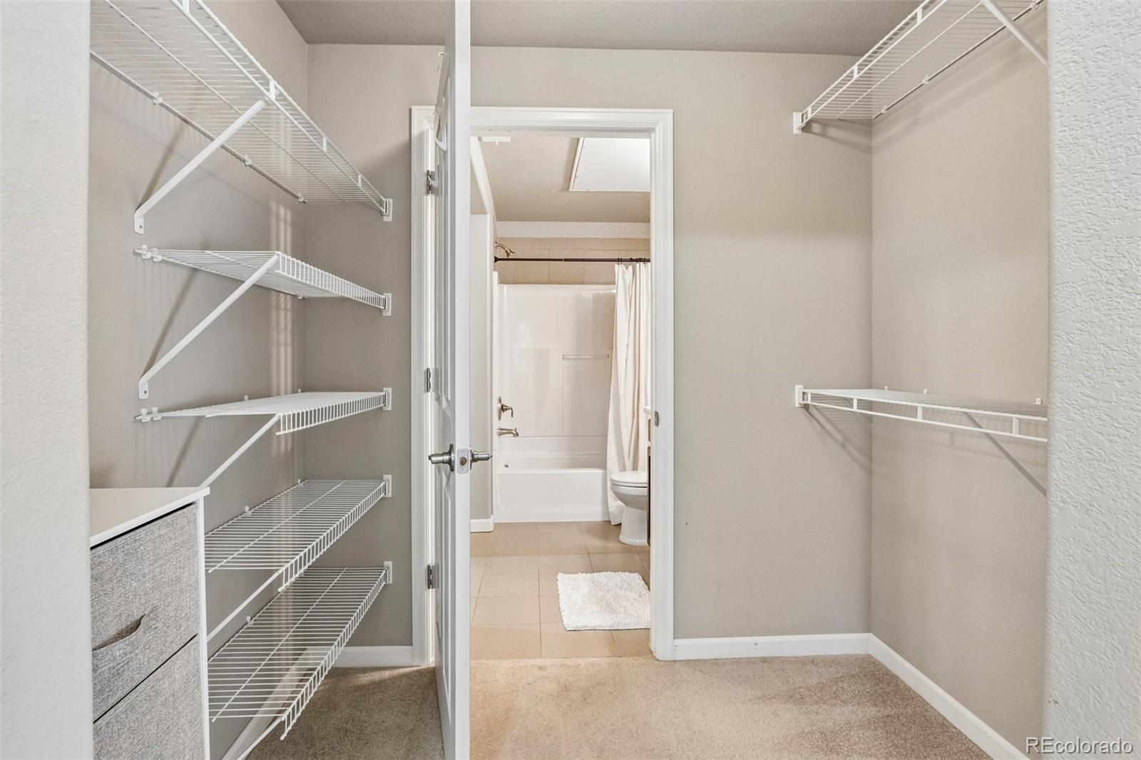 MLS Image #12 for 1044  rockhurst drive,highlands ranch, Colorado
