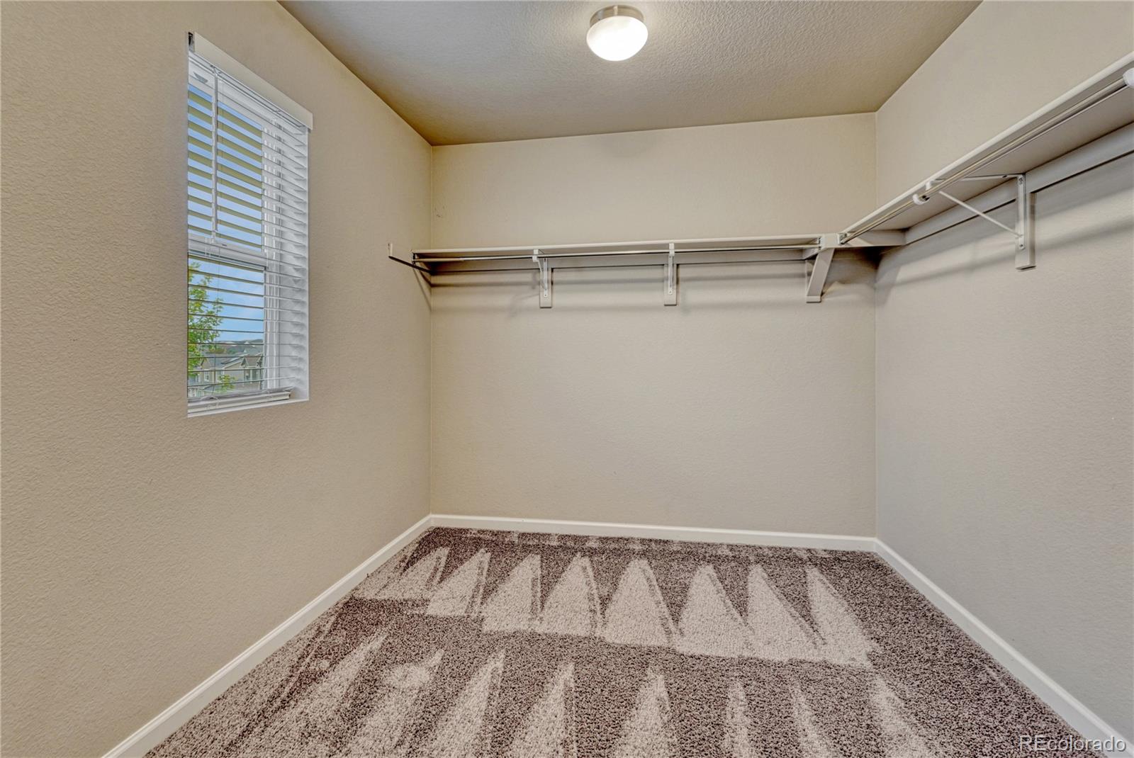 MLS Image #18 for 3426  swabuck place,castle rock, Colorado
