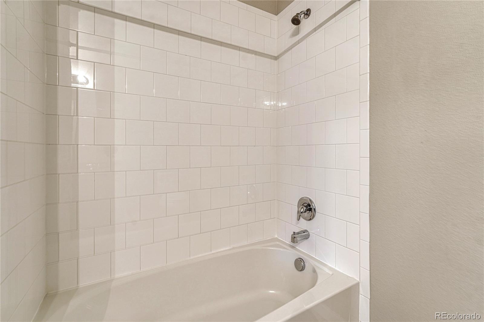 MLS Image #26 for 3426  swabuck place,castle rock, Colorado