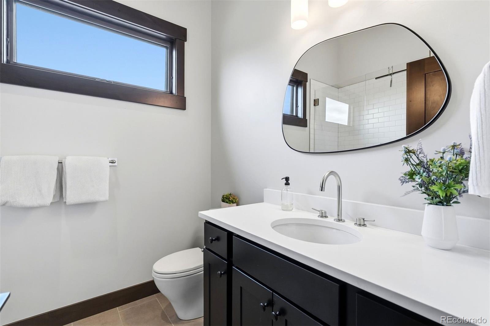 MLS Image #23 for 36  coumbe crossing,silverthorne, Colorado