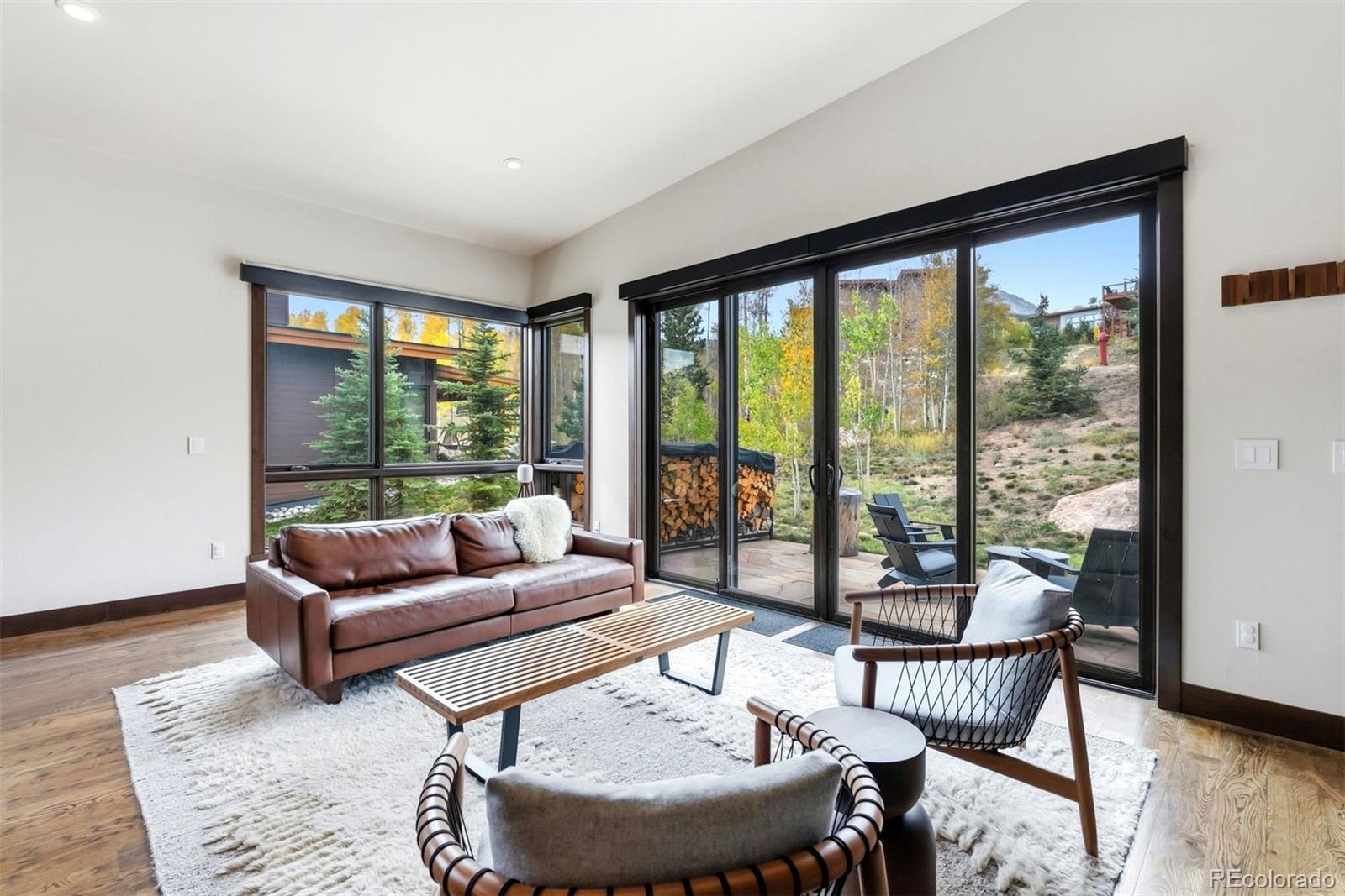MLS Image #8 for 36  coumbe crossing,silverthorne, Colorado