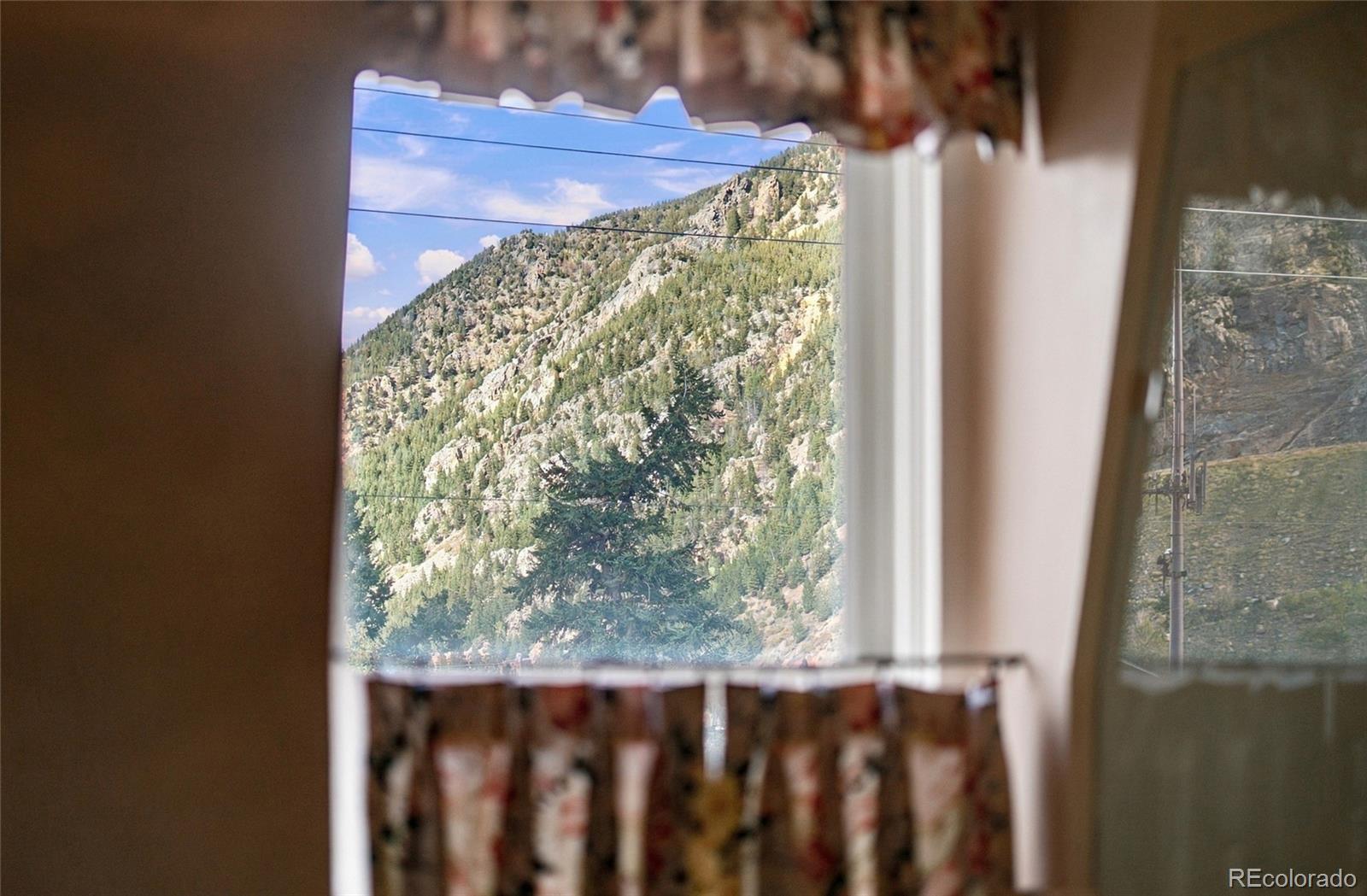 MLS Image #31 for 314  argentine street,georgetown, Colorado