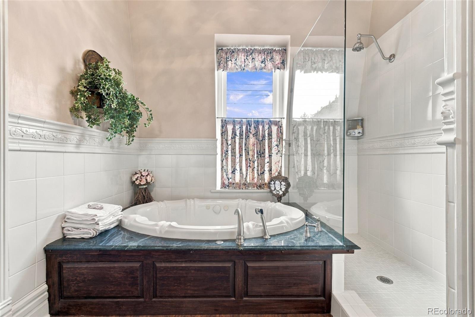 MLS Image #33 for 314  argentine street,georgetown, Colorado