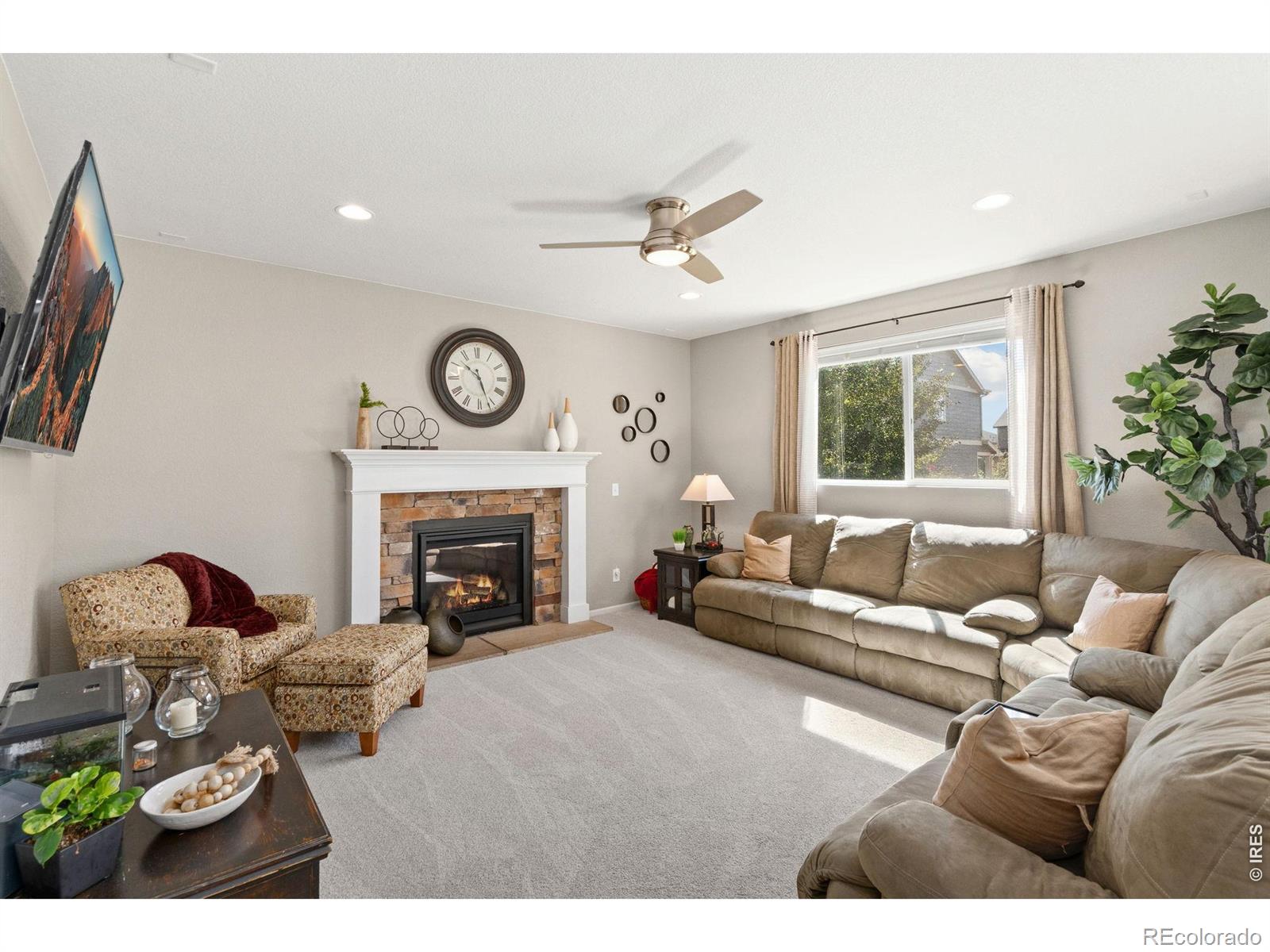 MLS Image #16 for 1543  grand avenue,windsor, Colorado