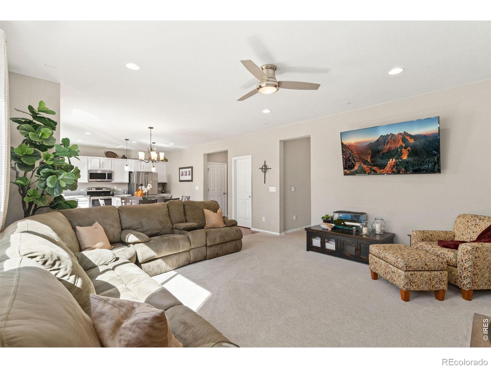 MLS Image #6 for 1543  grand avenue,windsor, Colorado