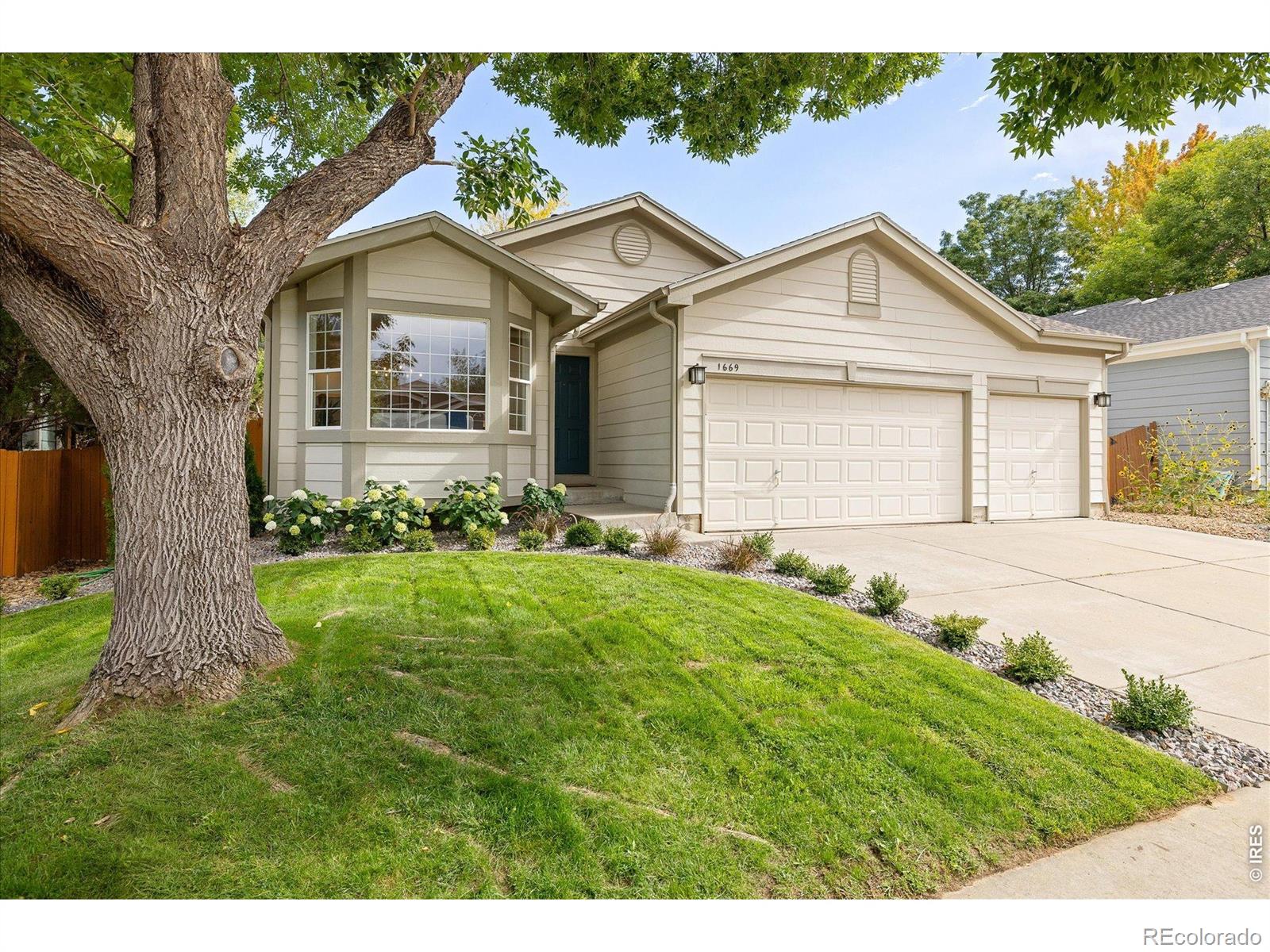 MLS Image #3 for 1669  maccullen drive,erie, Colorado