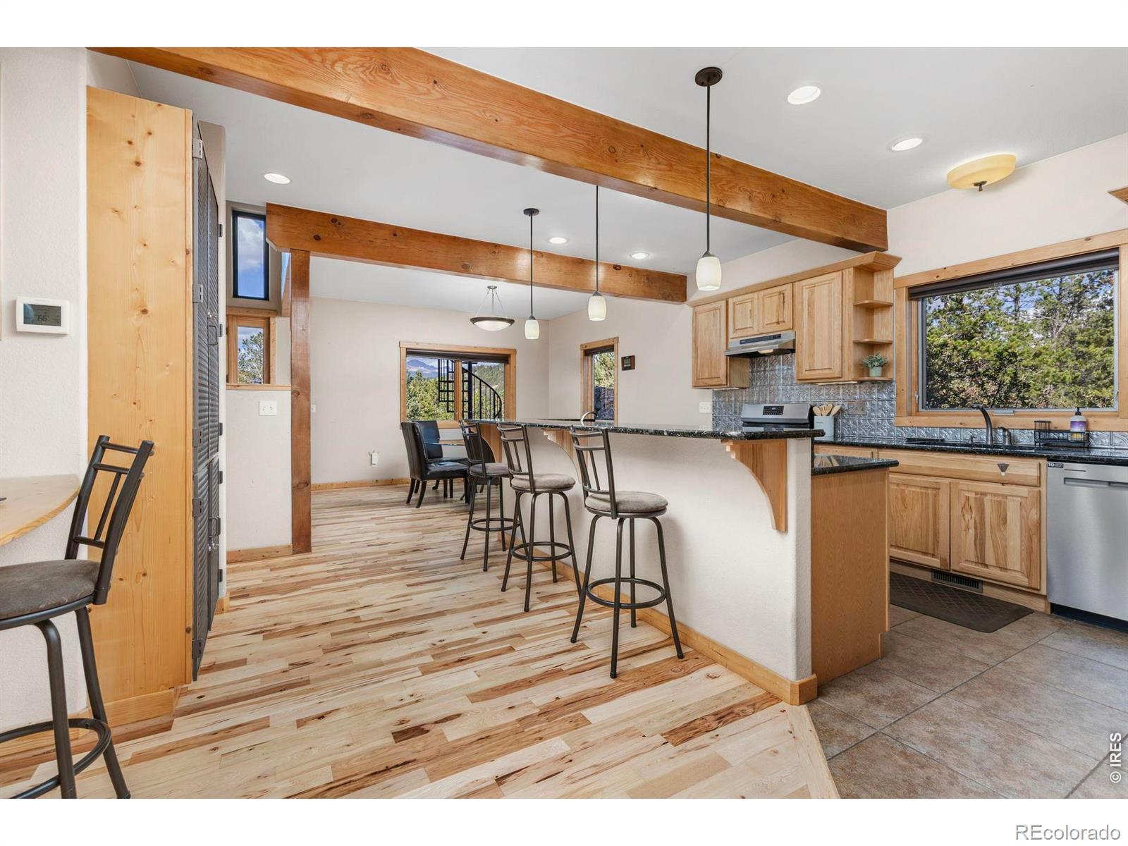 MLS Image #12 for 401  shady hollow,nederland, Colorado