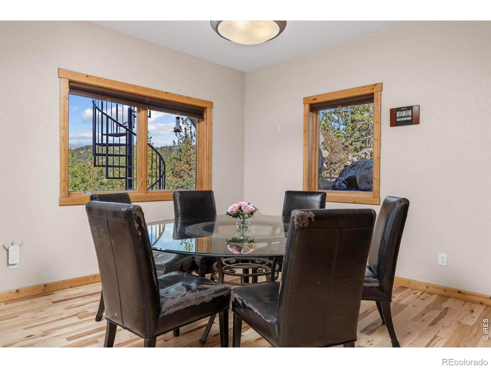 MLS Image #16 for 401  shady hollow,nederland, Colorado