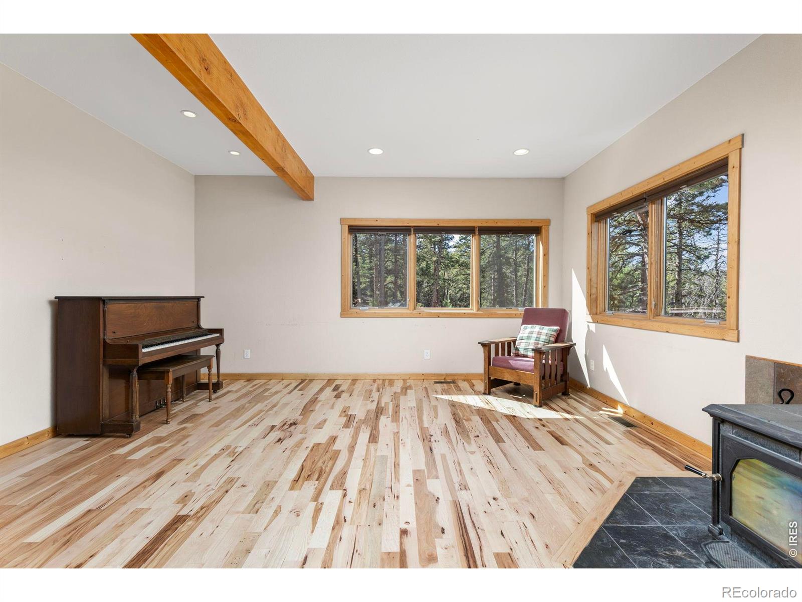 MLS Image #19 for 401  shady hollow,nederland, Colorado