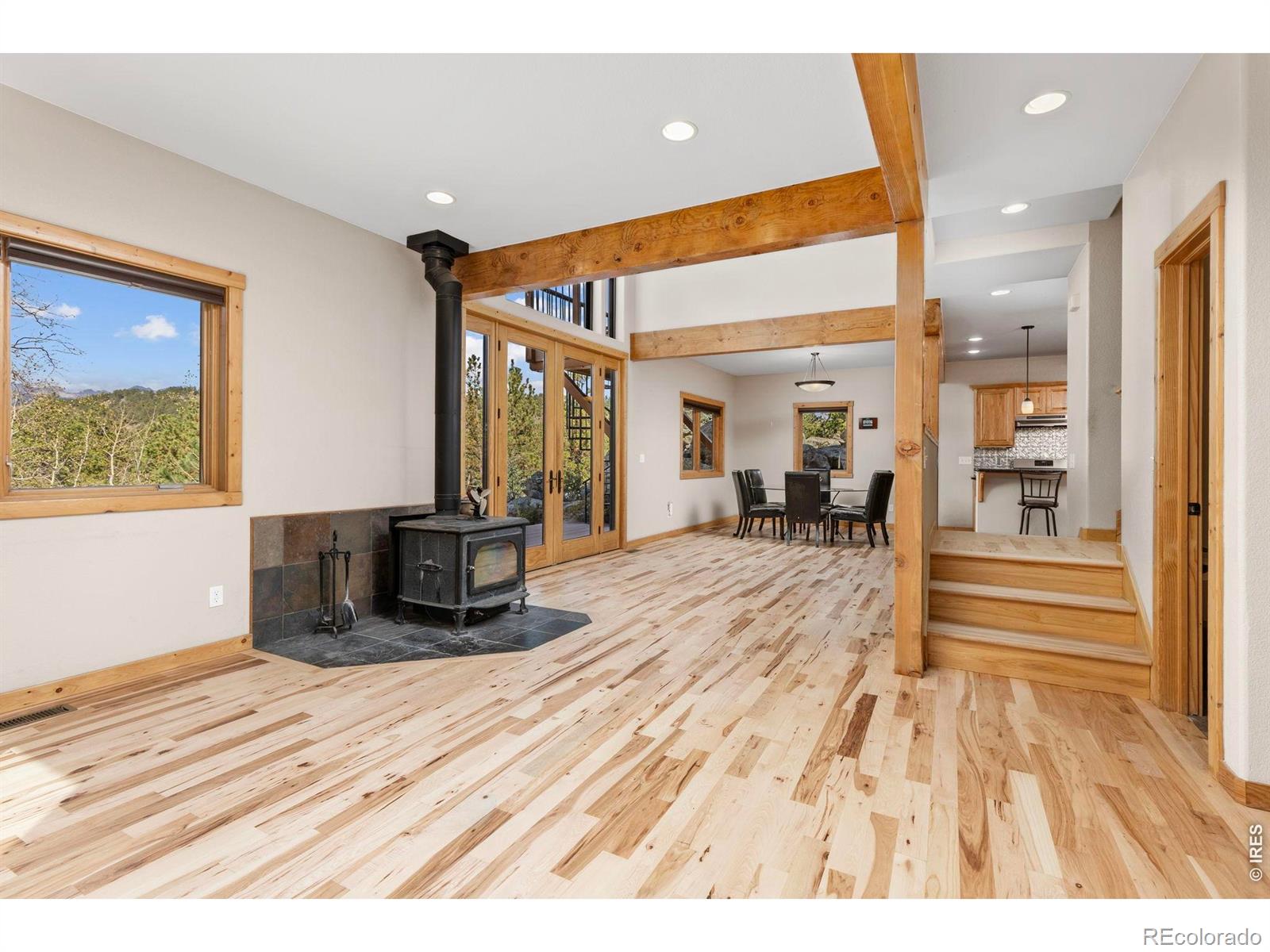 MLS Image #20 for 401  shady hollow,nederland, Colorado