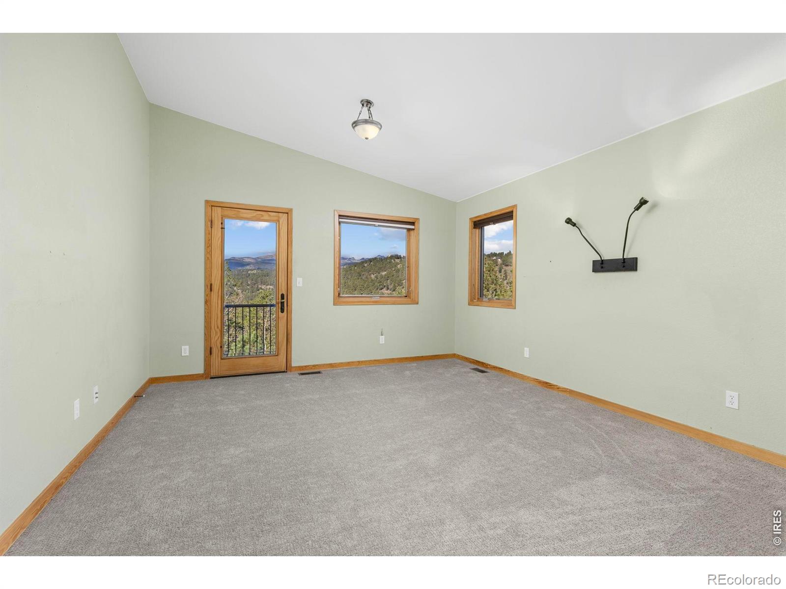 MLS Image #25 for 401  shady hollow,nederland, Colorado
