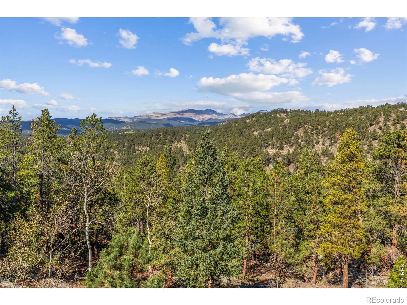 MLS Image #28 for 401  shady hollow,nederland, Colorado