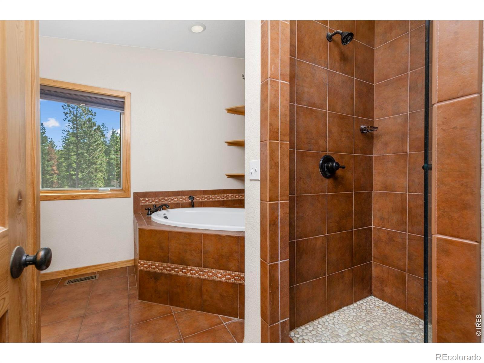 MLS Image #30 for 401  shady hollow,nederland, Colorado