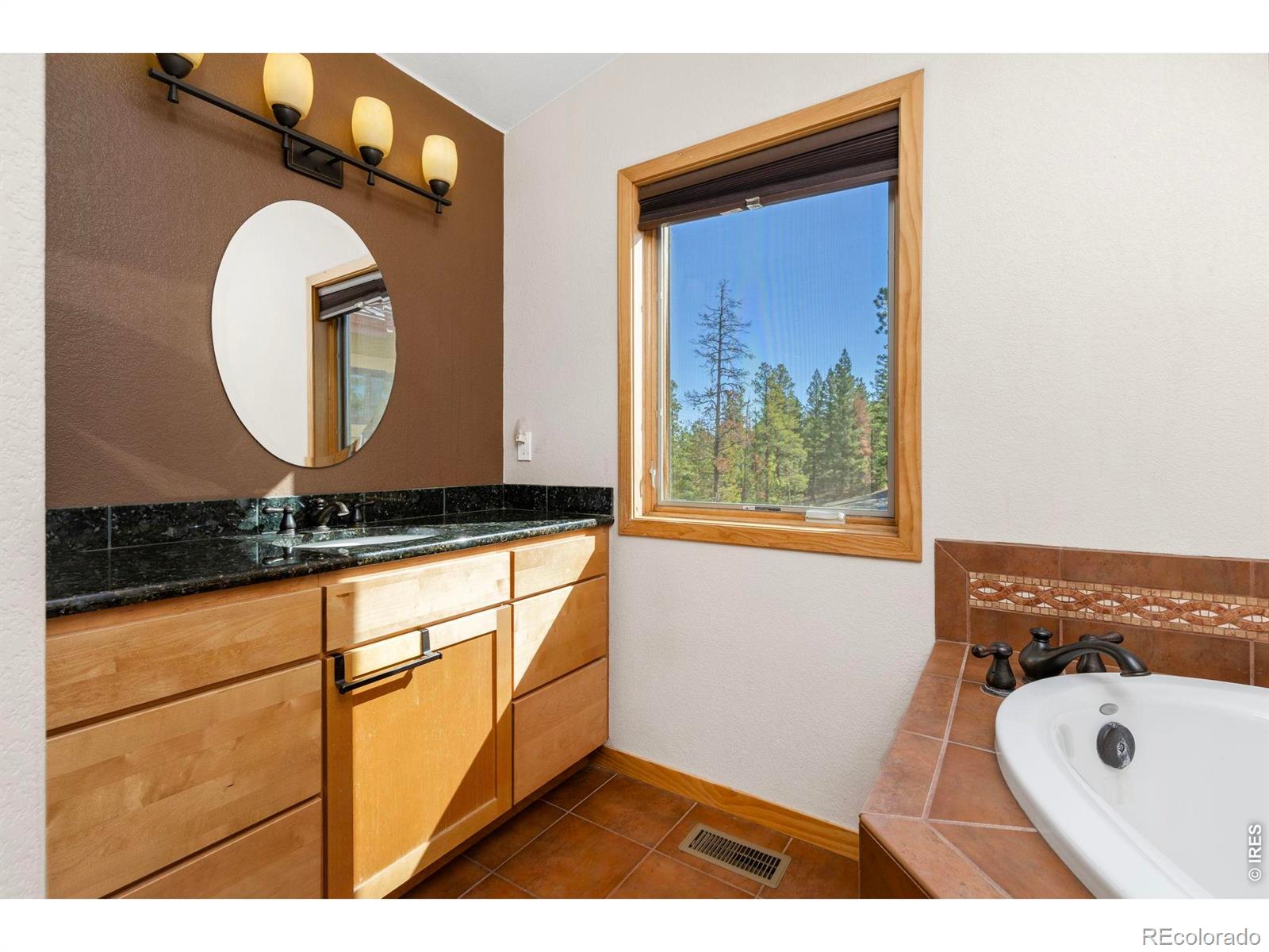 MLS Image #31 for 401  shady hollow,nederland, Colorado